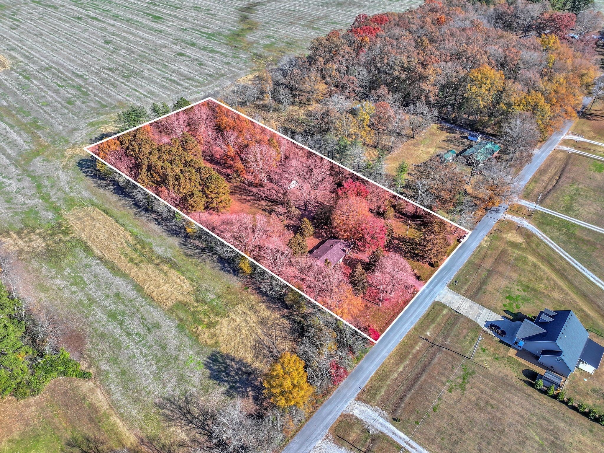 Photo of Listing #3047496