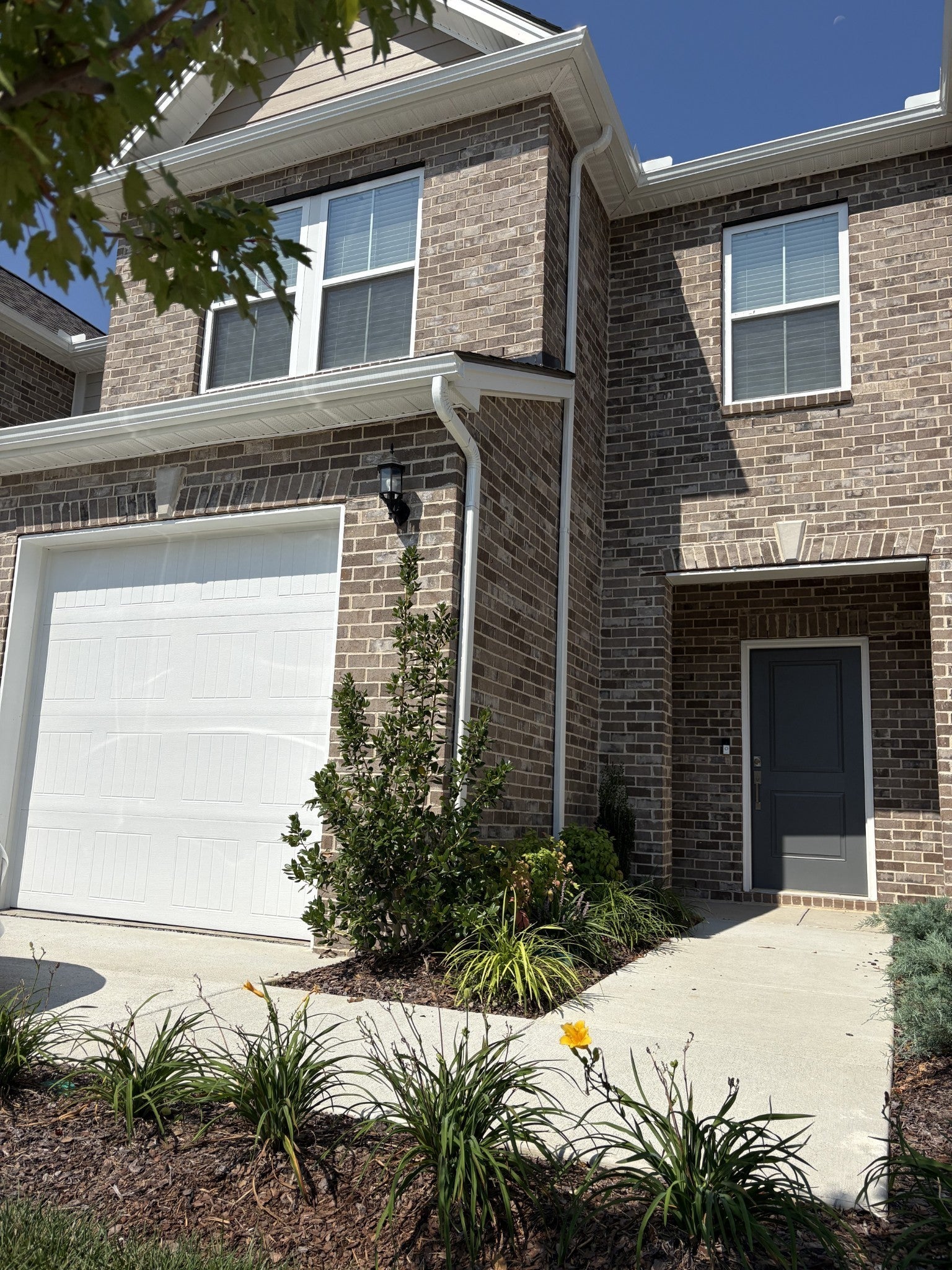 Photo of Listing #3048931