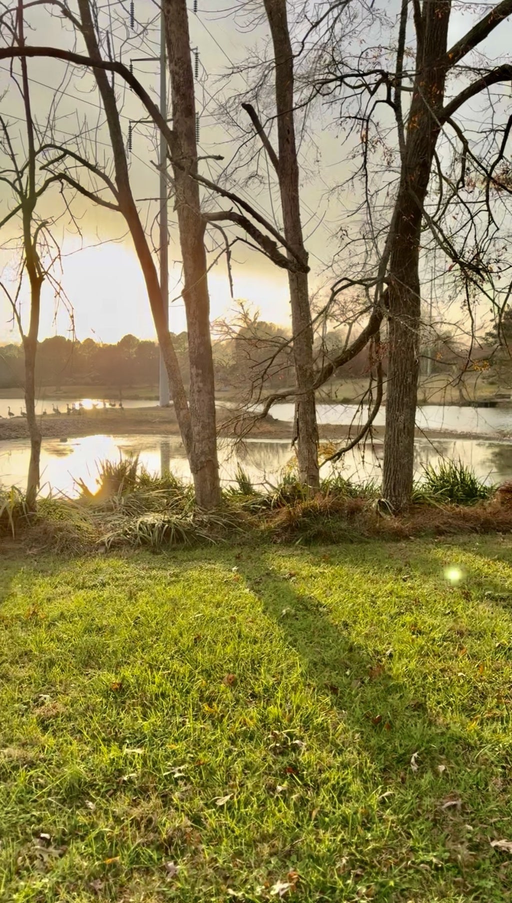 51 Timberlake Dr, Fayetteville