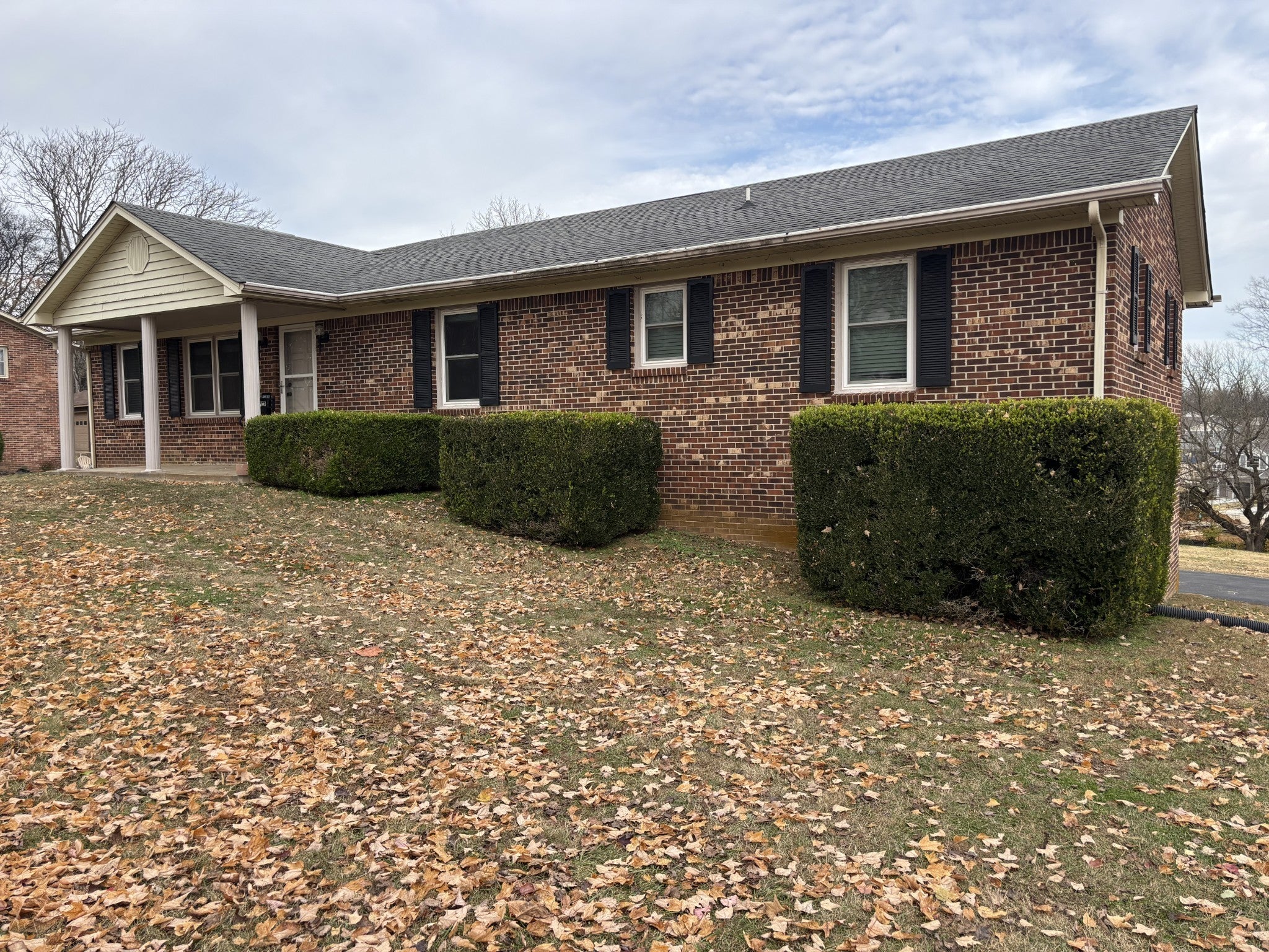 Photo of Listing #3049511