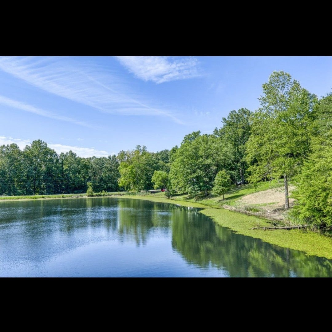 Photo of Listing #3050167