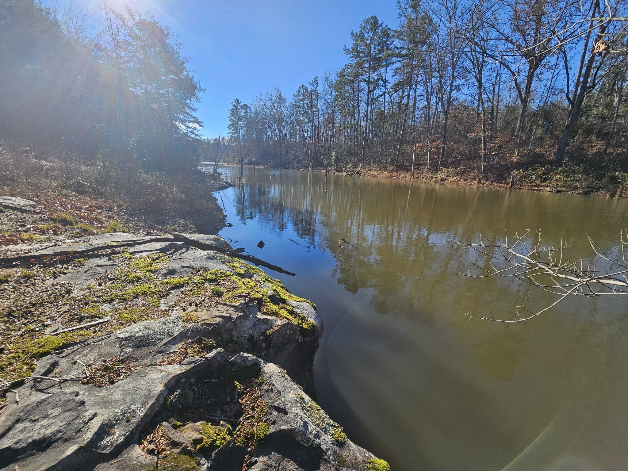 Photo of Listing #3051194