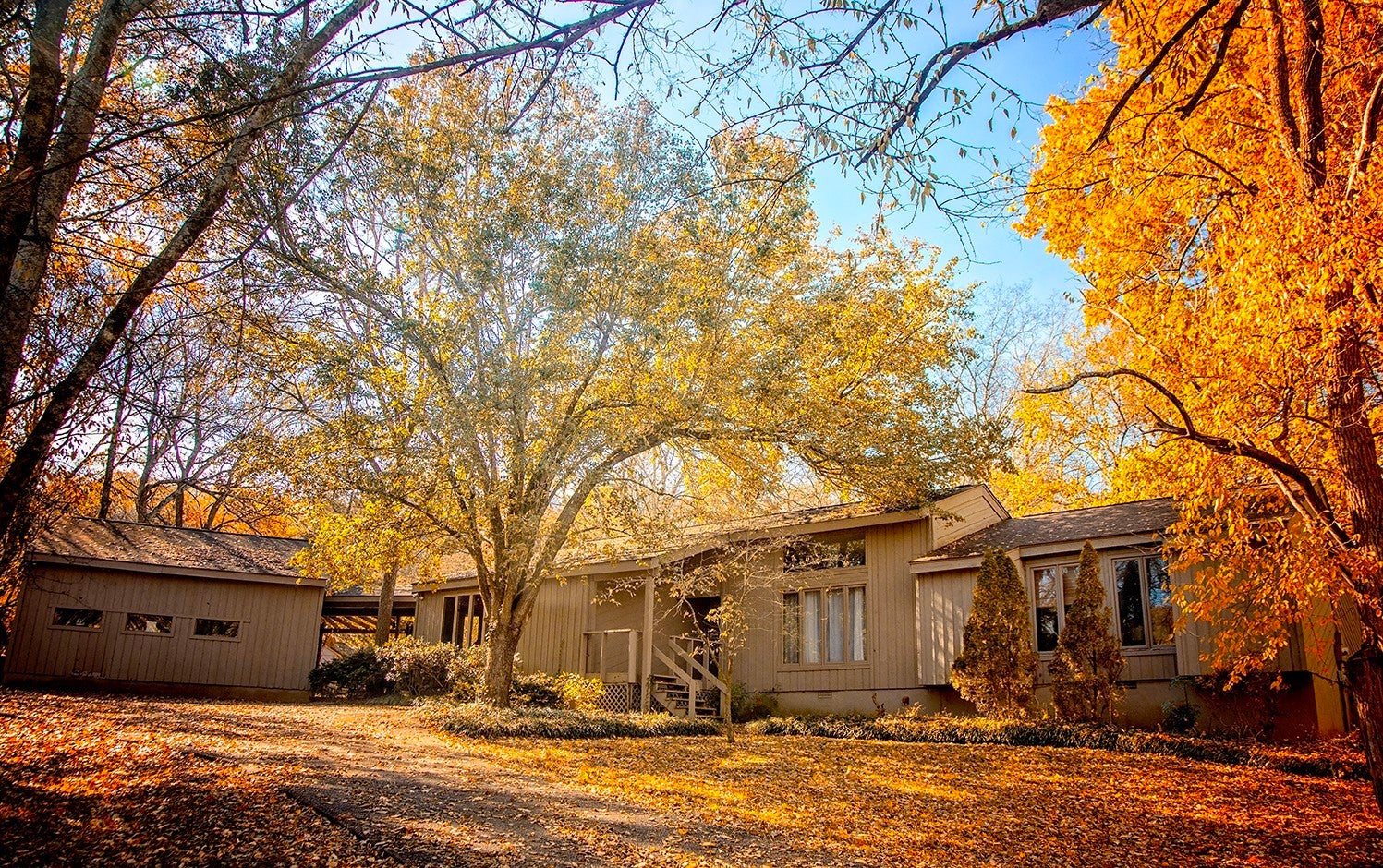 Photo of Listing #3051520