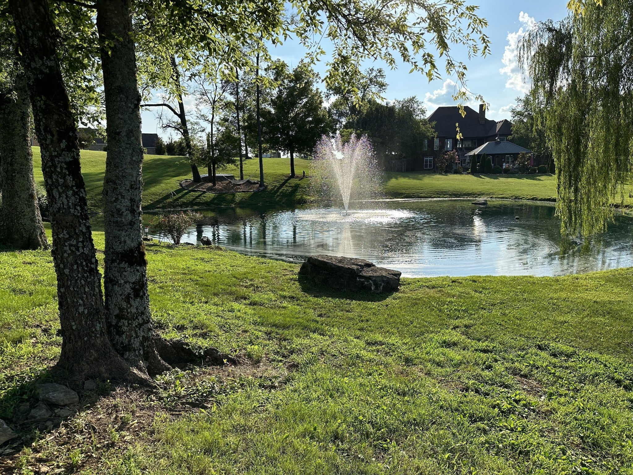 Photo of Listing #3056556