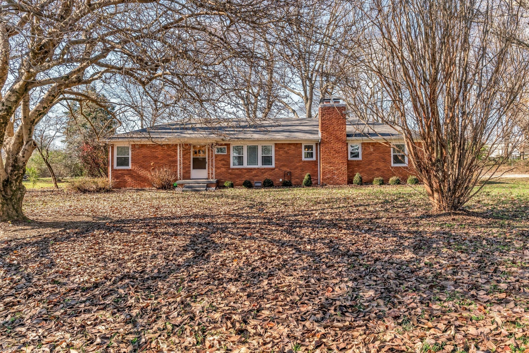 Photo of Listing #3056843