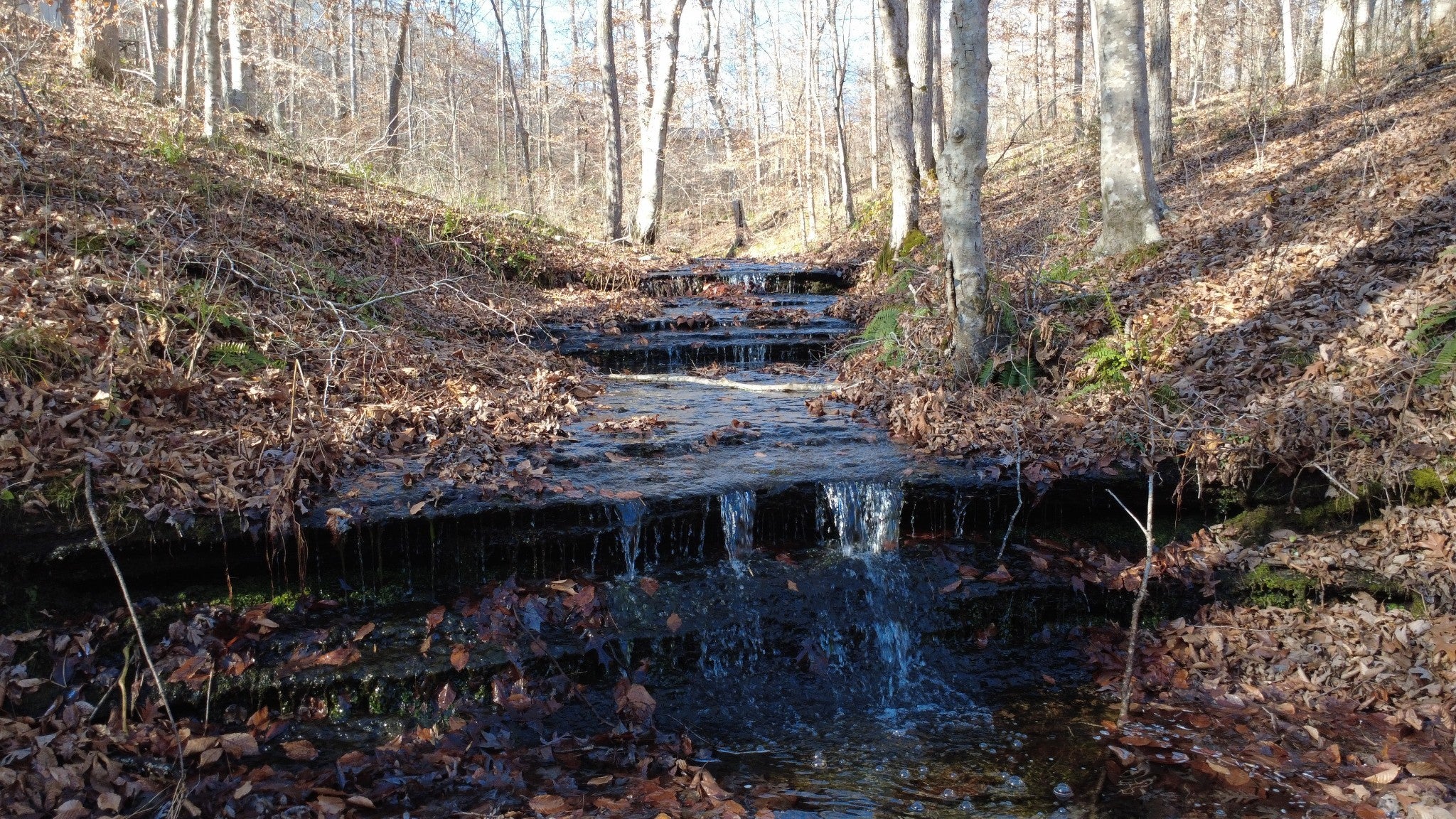 Photo of Listing #3058705