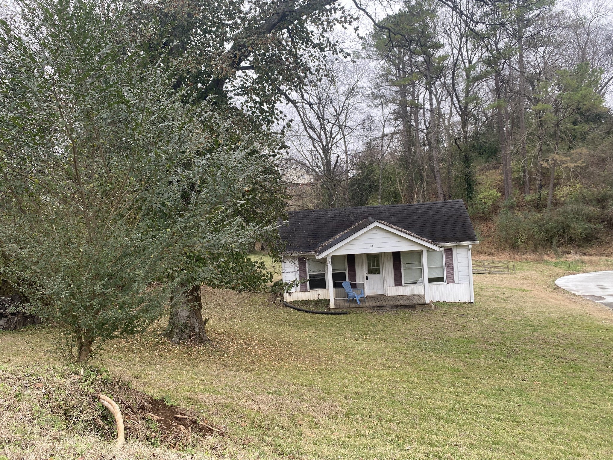 Photo of Listing #3059524