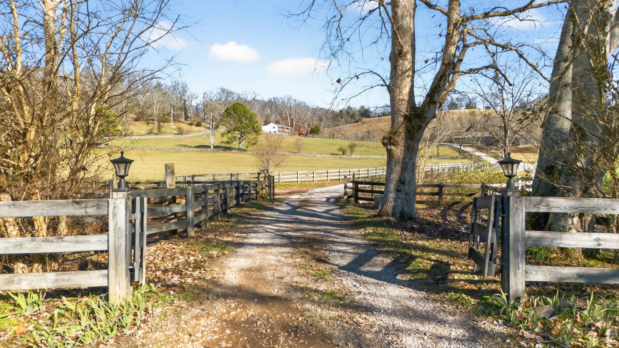 Photo of Listing #3059580