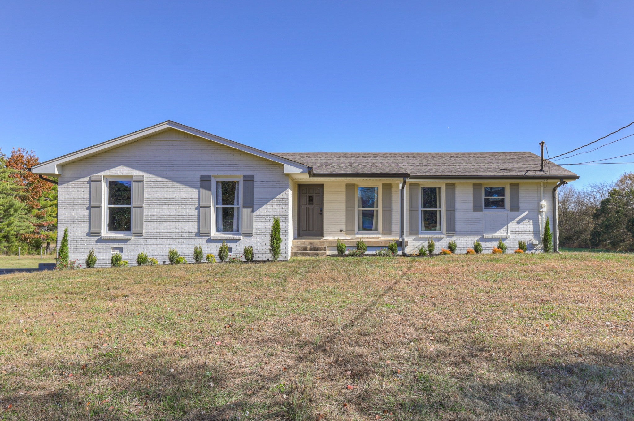 Photo of Listing #3059633