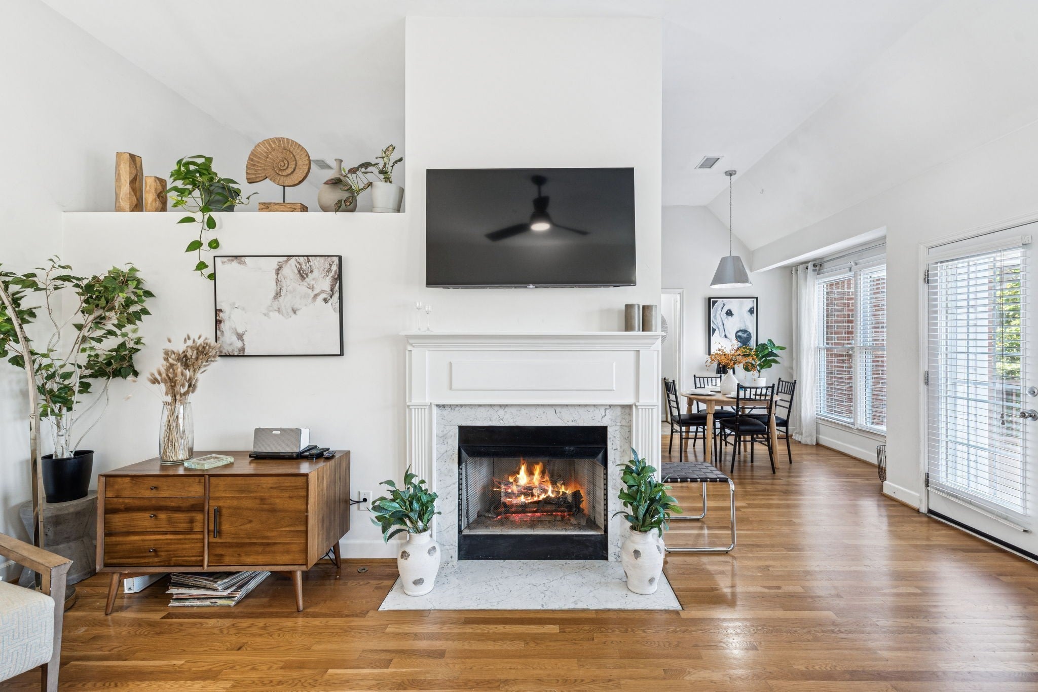 Photo of Listing #3059668