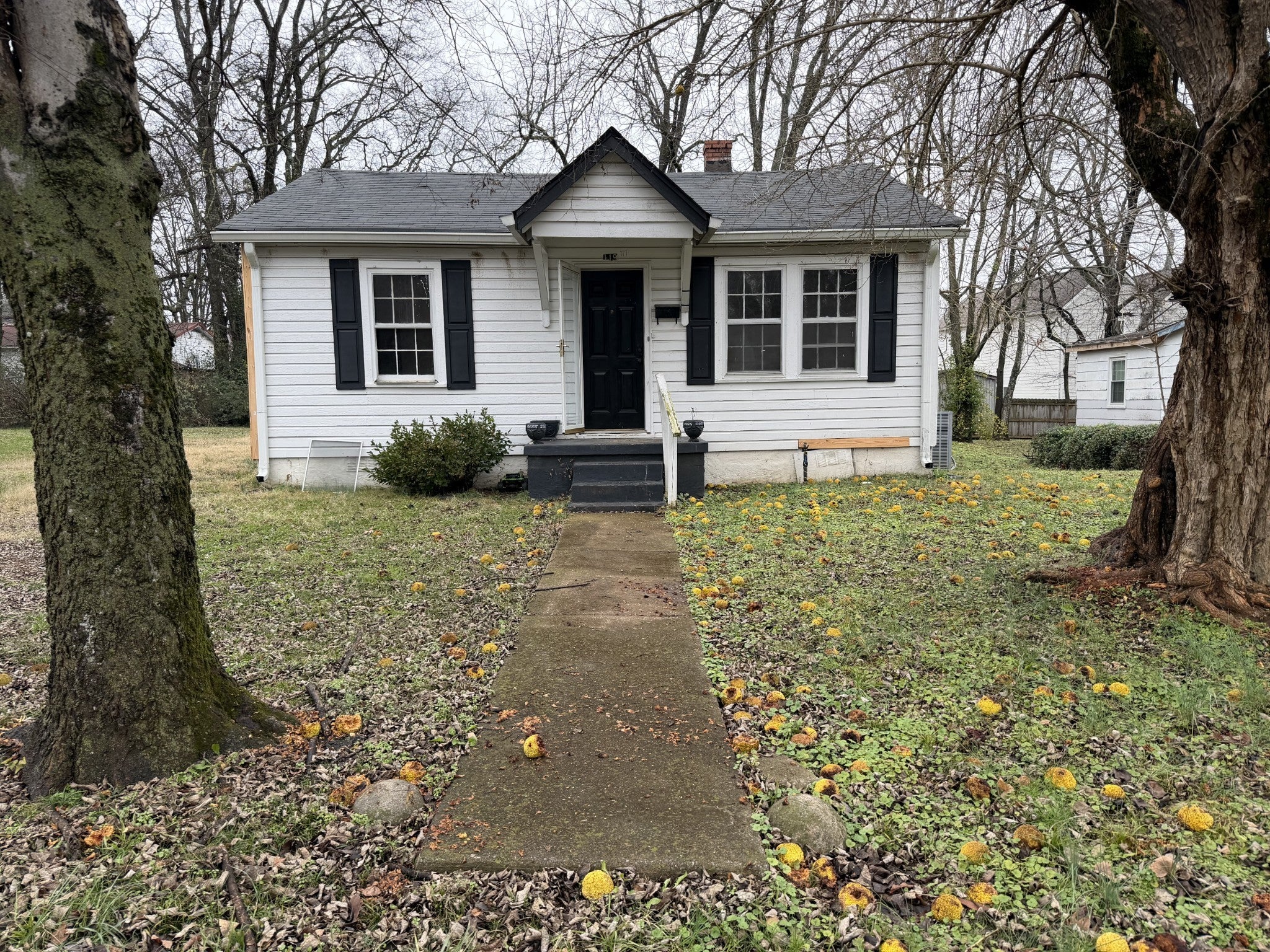 Photo of Listing #3060128