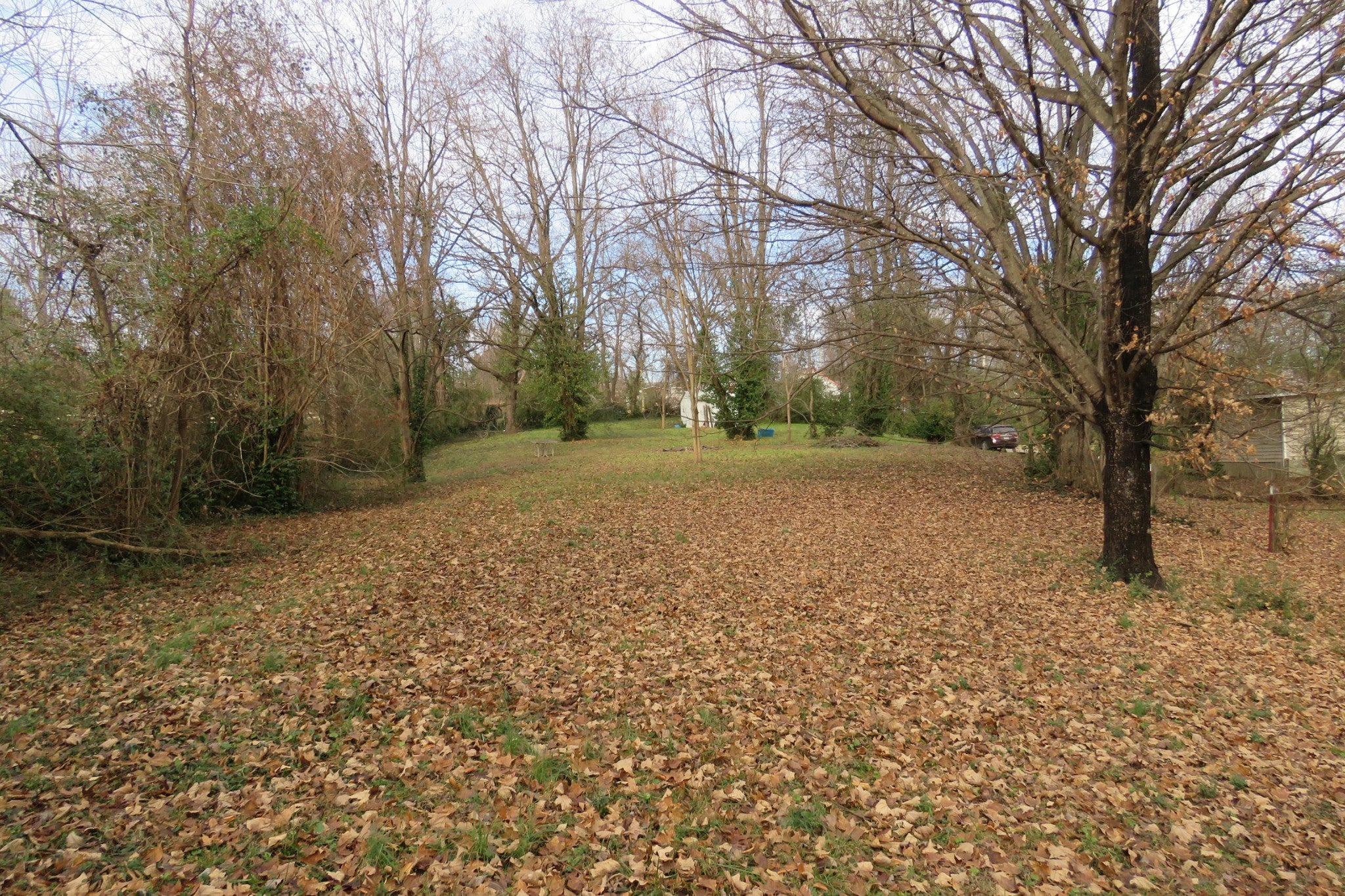 Photo of Listing #3060263