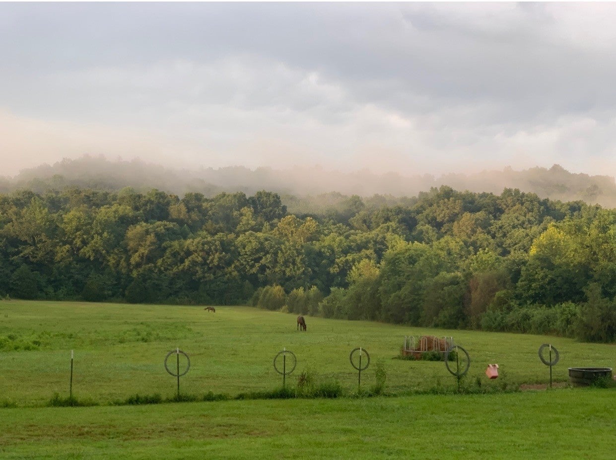 Photo of Listing #3060633