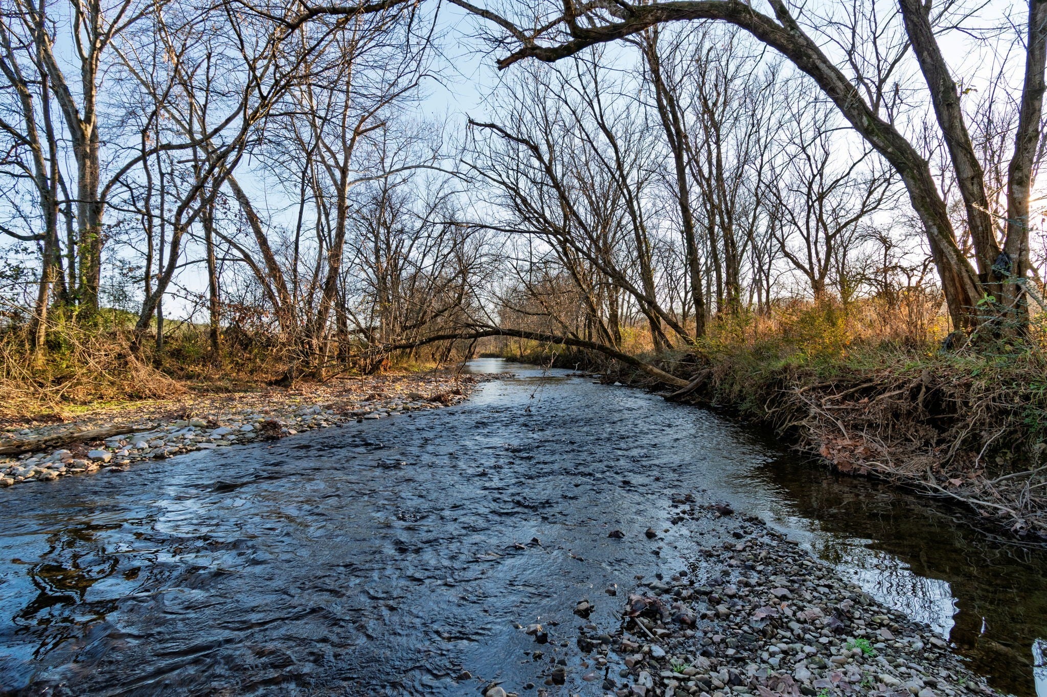 Photo of Listing #3060935