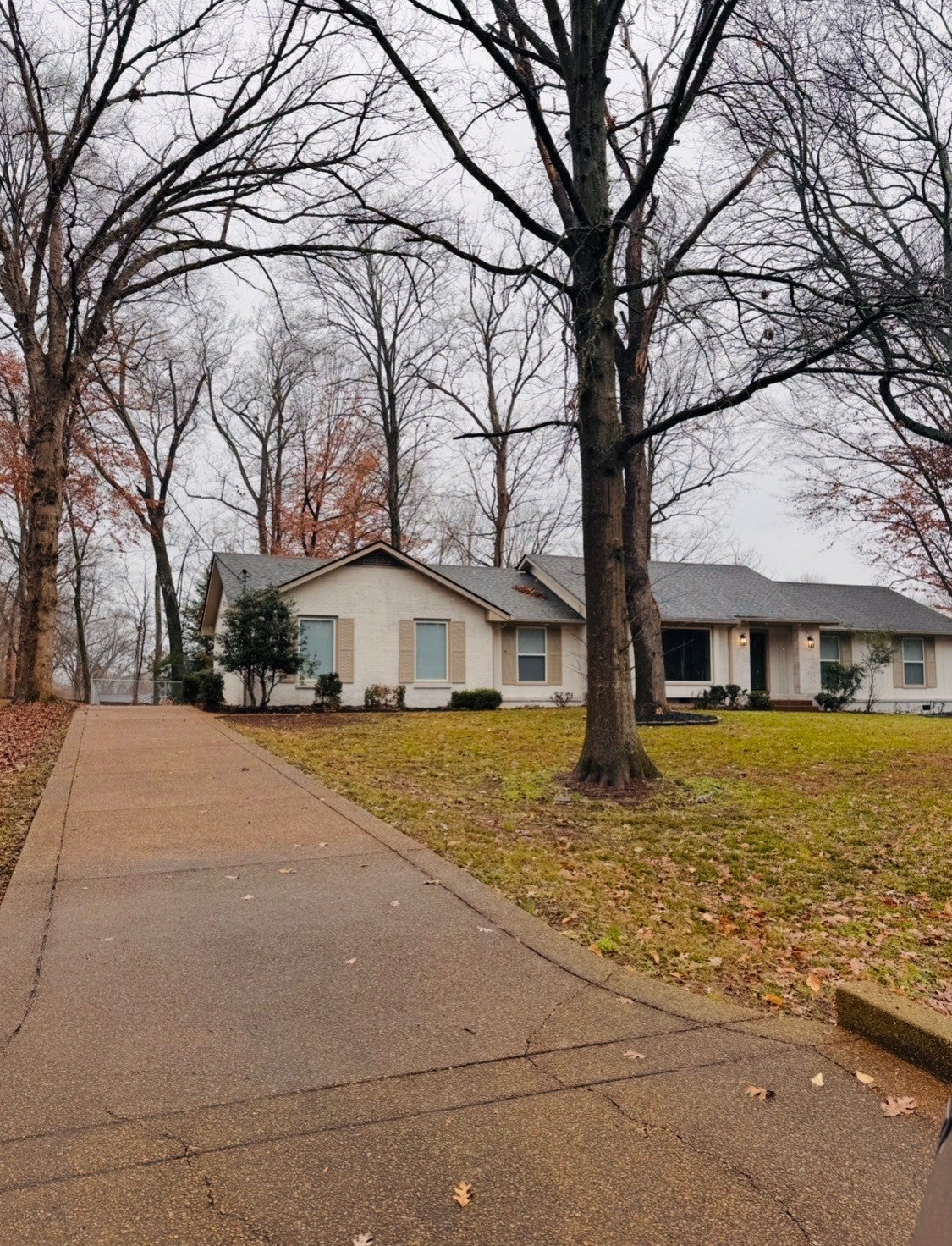 Photo of Listing #3061711