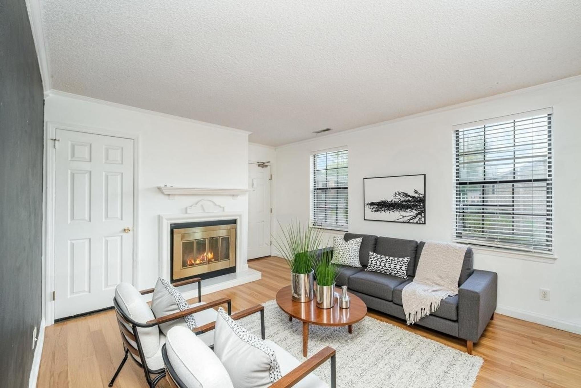 Photo of Listing #3065236