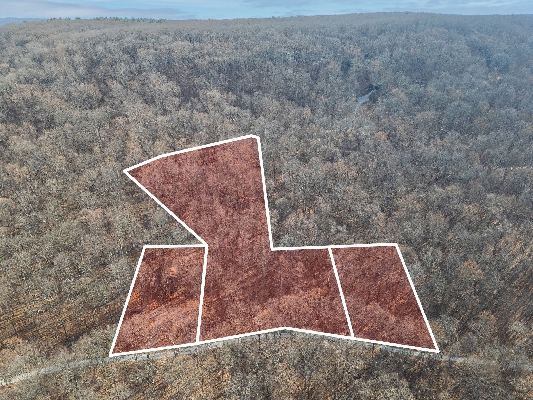 Photo of Listing #3065332