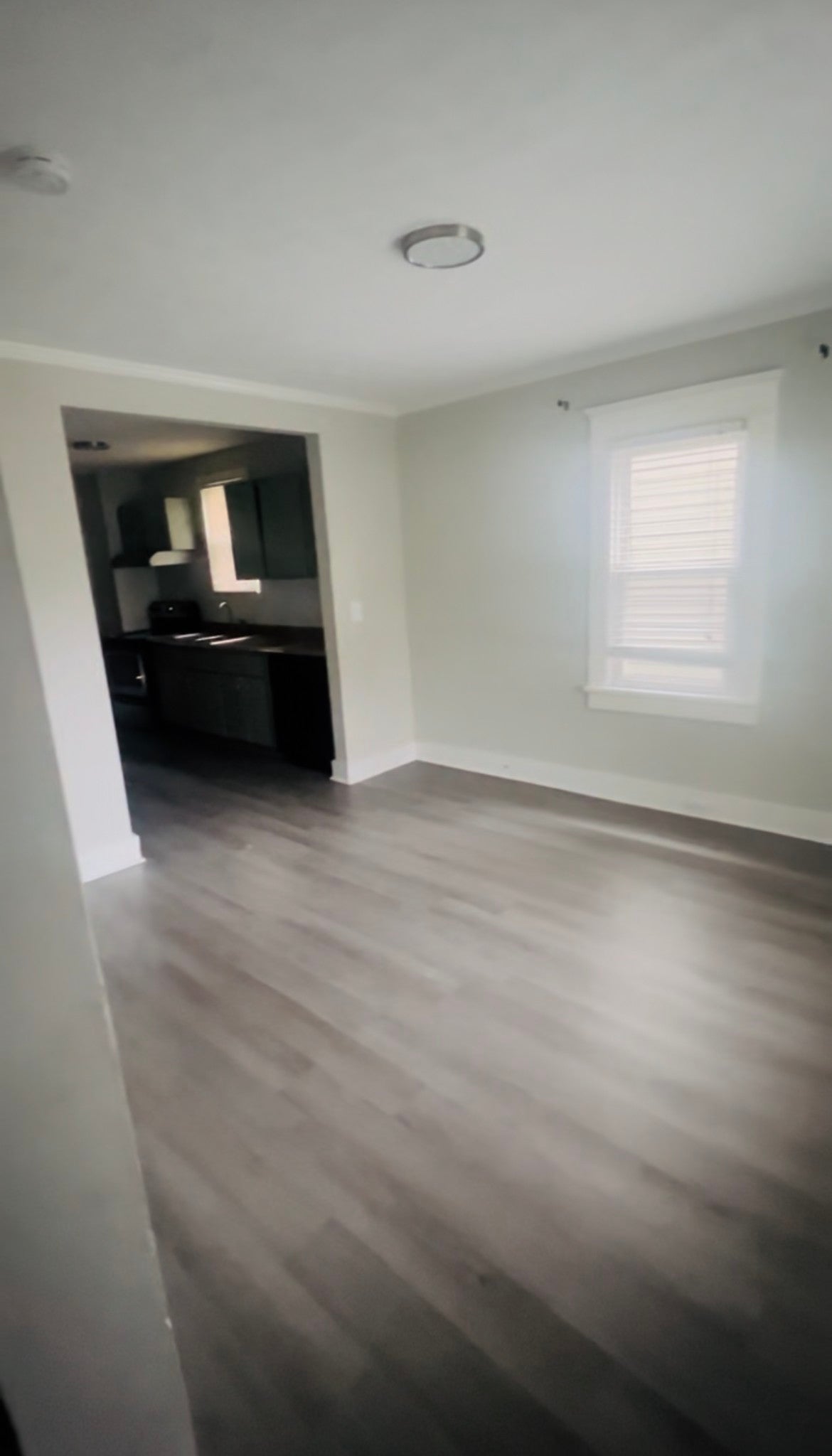 Photo of Listing #3065374