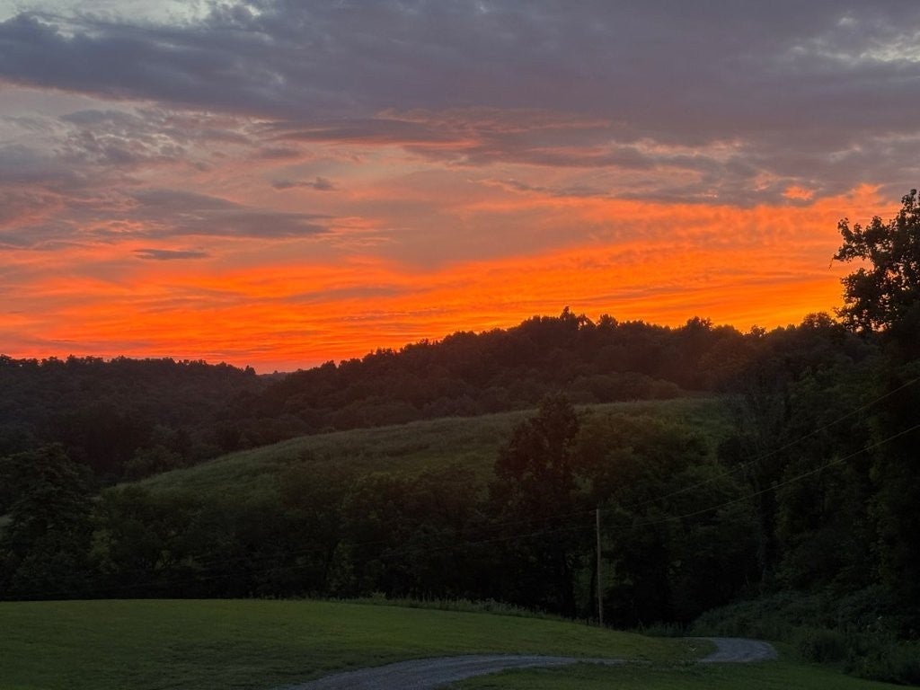 Photo of Listing #3065501