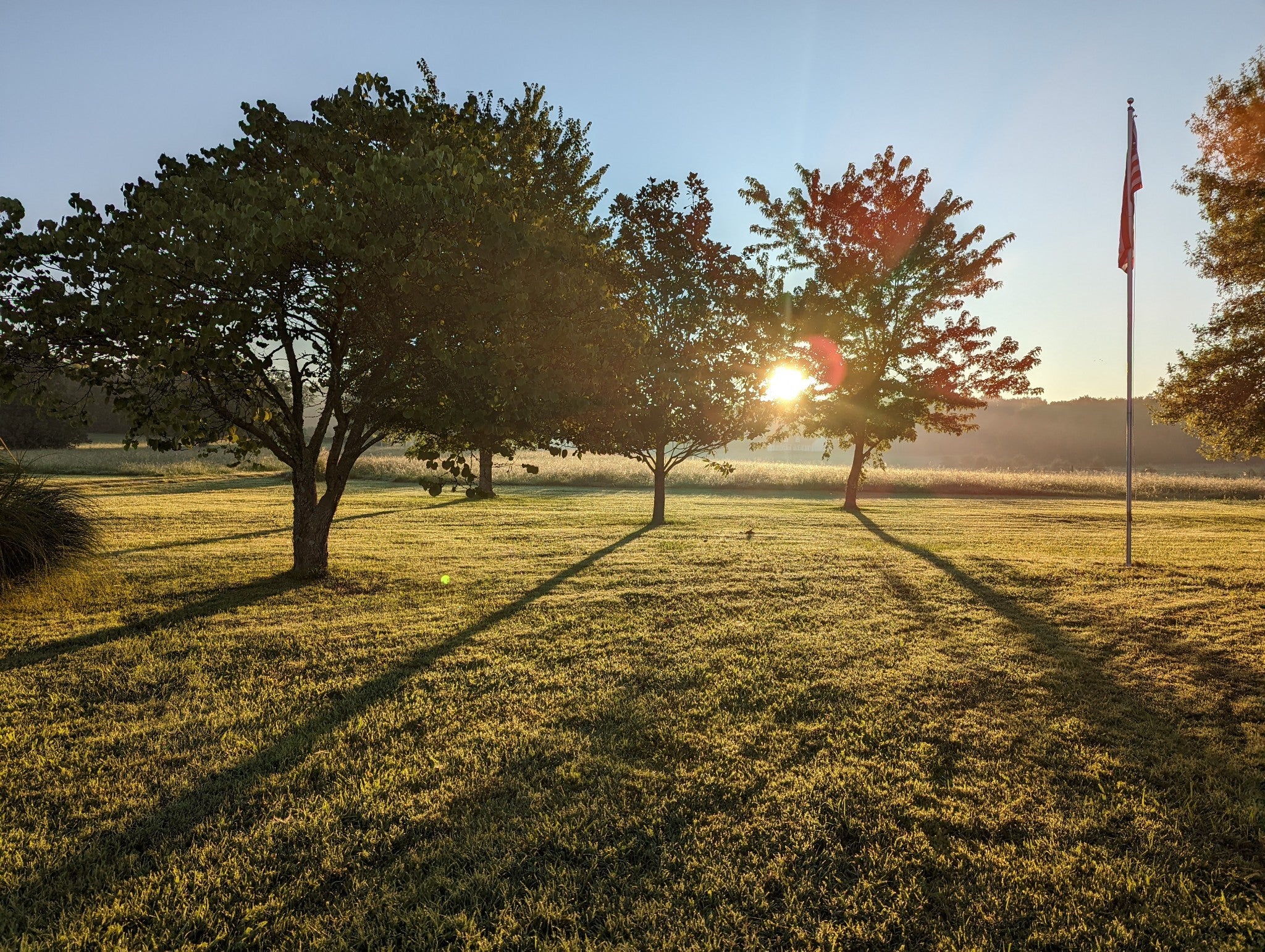 Photo of Listing #3067105