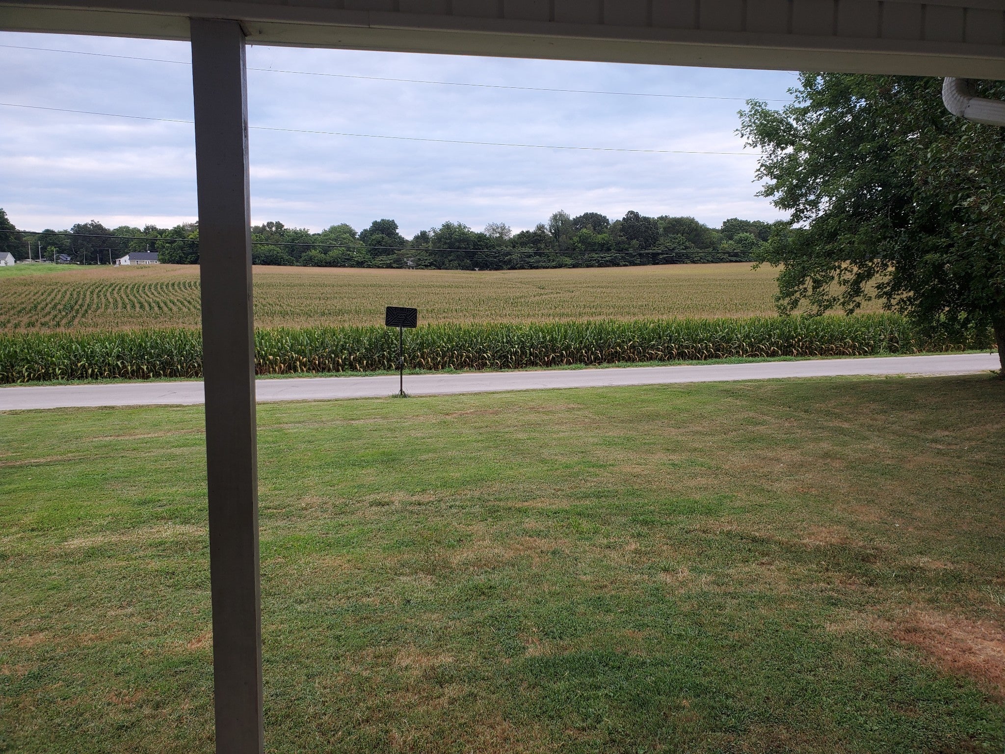 Photo of Listing #3067186