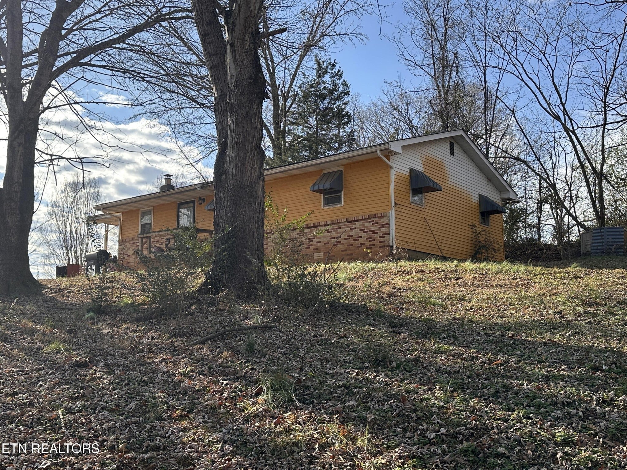 Photo of Listing #3067751