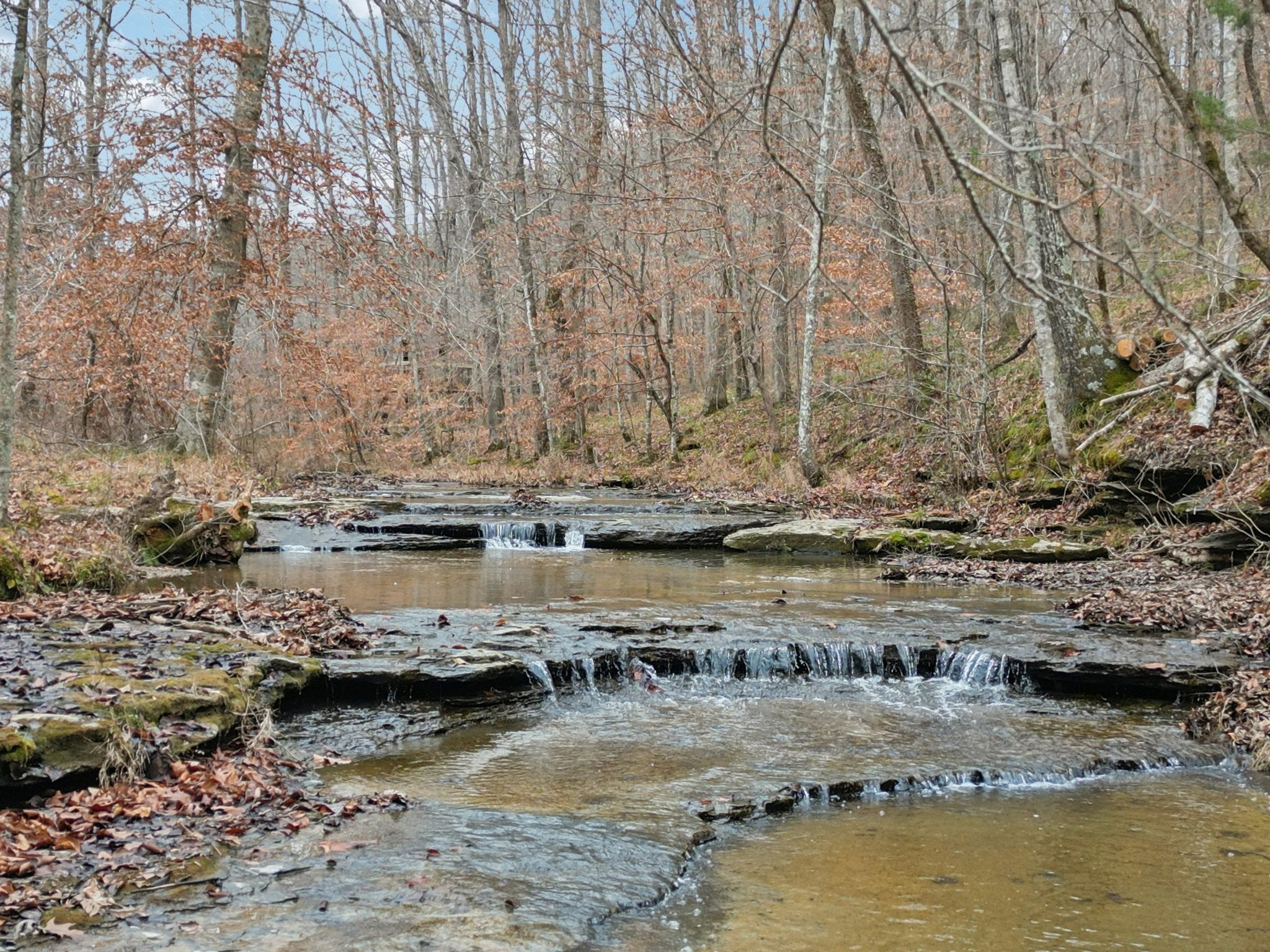 Photo of Listing #3068751