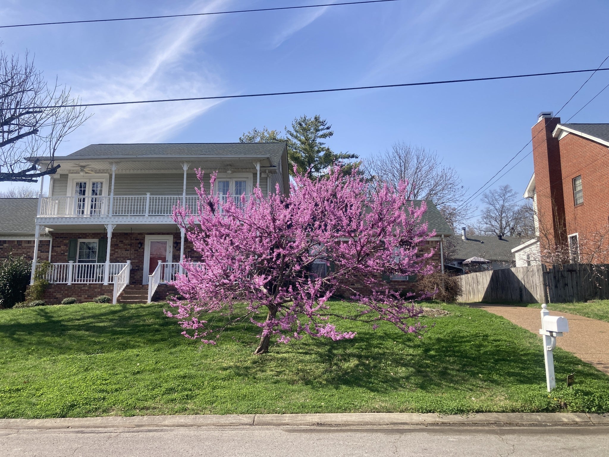 Photo of Listing #3072369