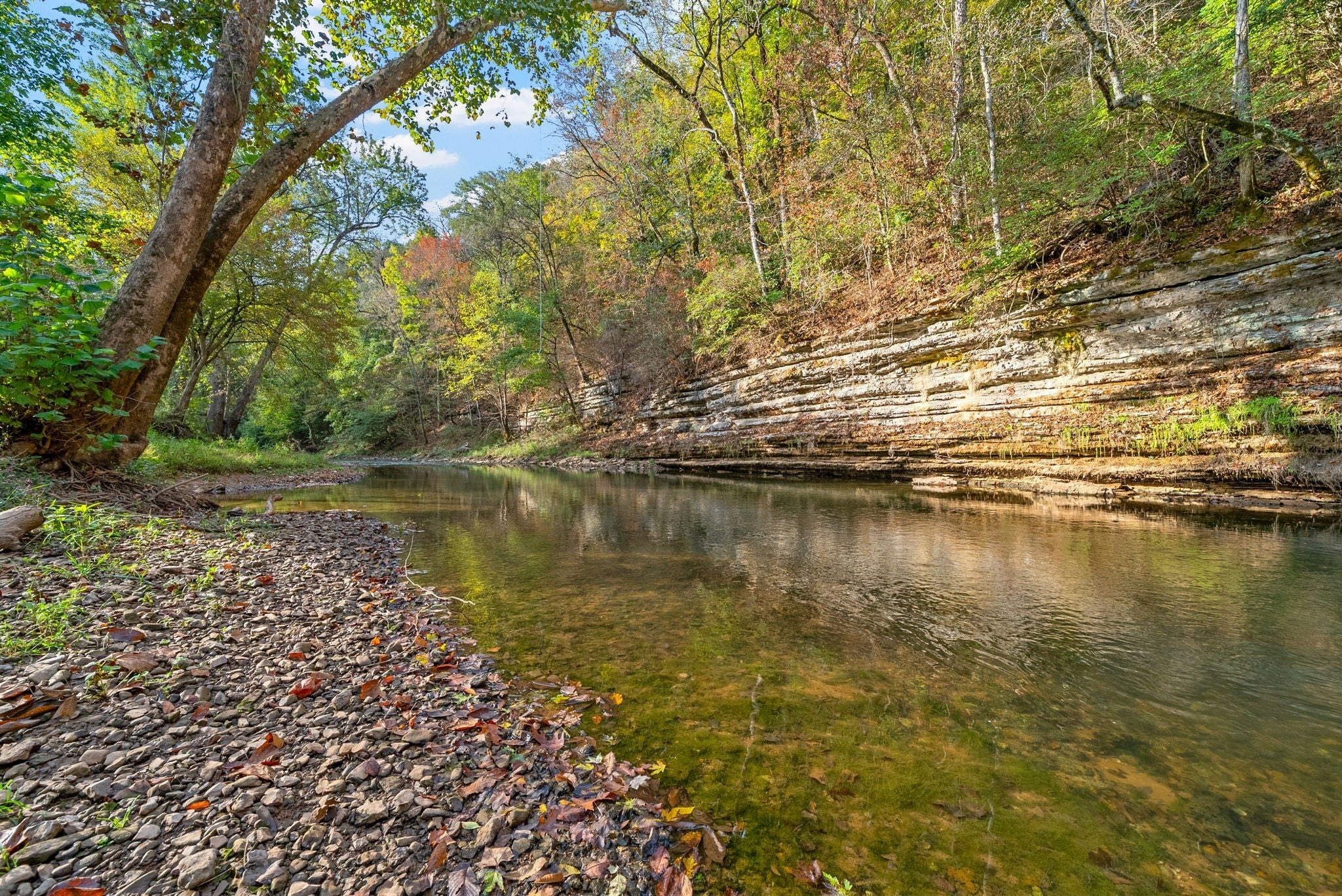 Photo of Listing #3073100