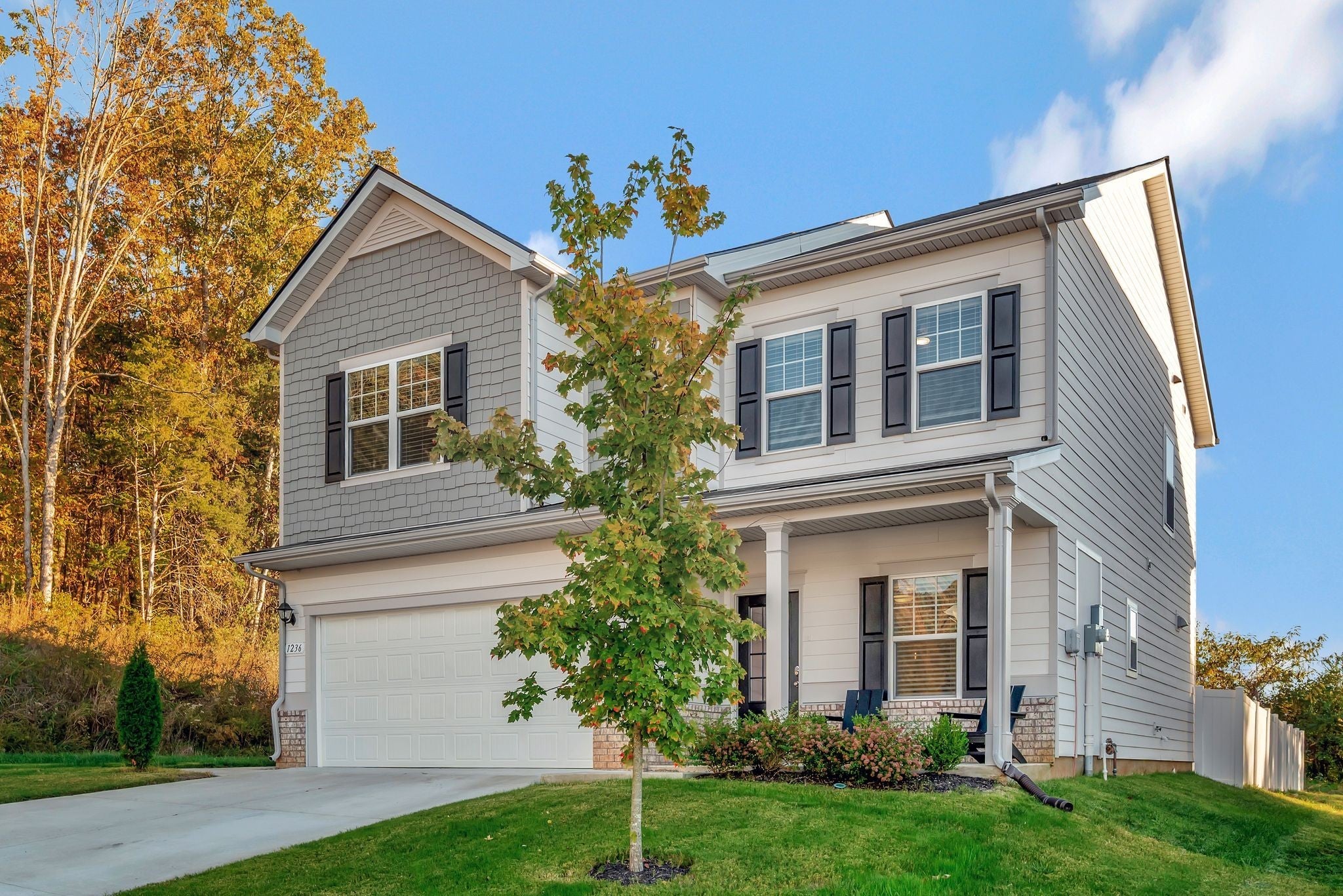 Photo of Listing #3073111