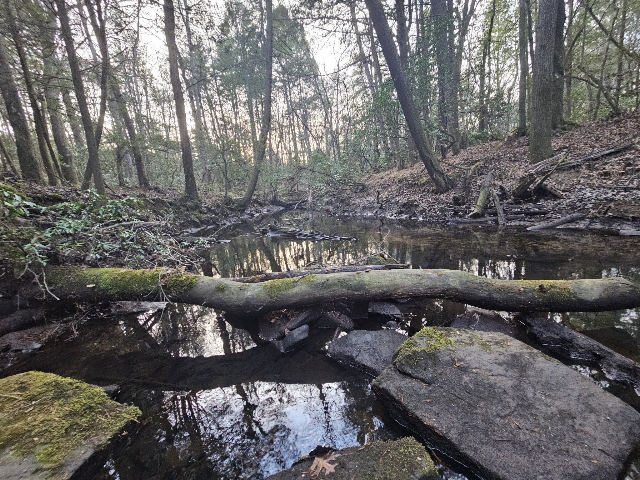 Photo of Listing #3073866