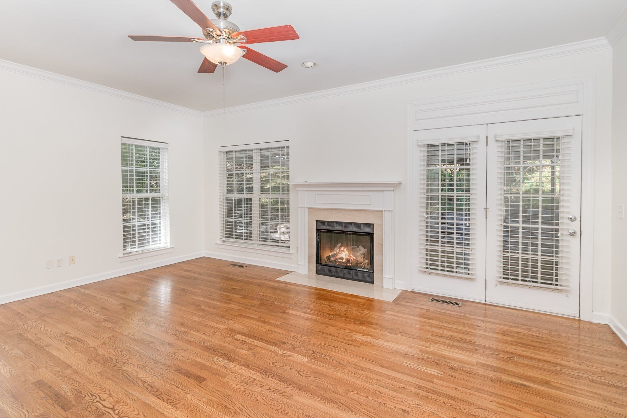 Photo of Listing #3074017