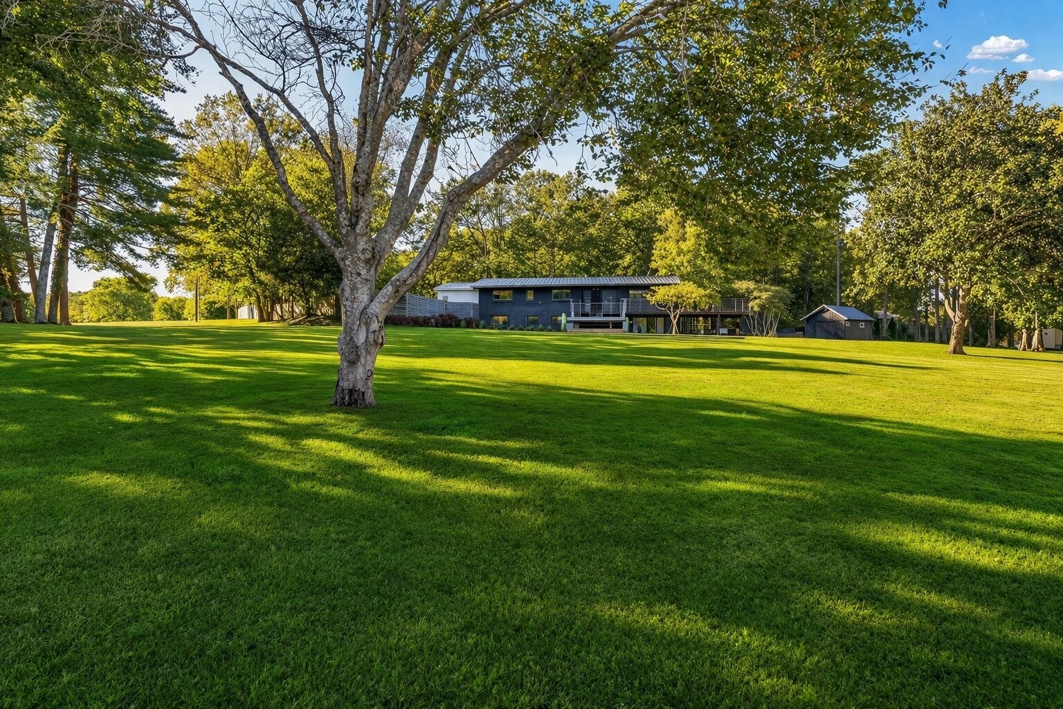 Photo of Listing #3079196