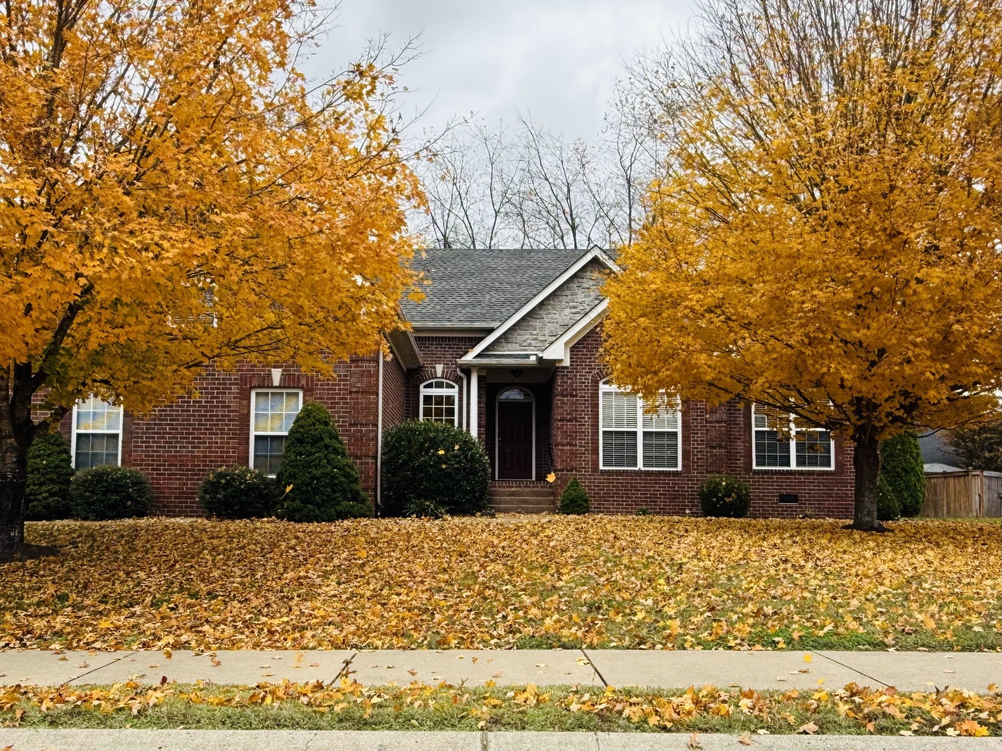 Photo of Listing #3080200