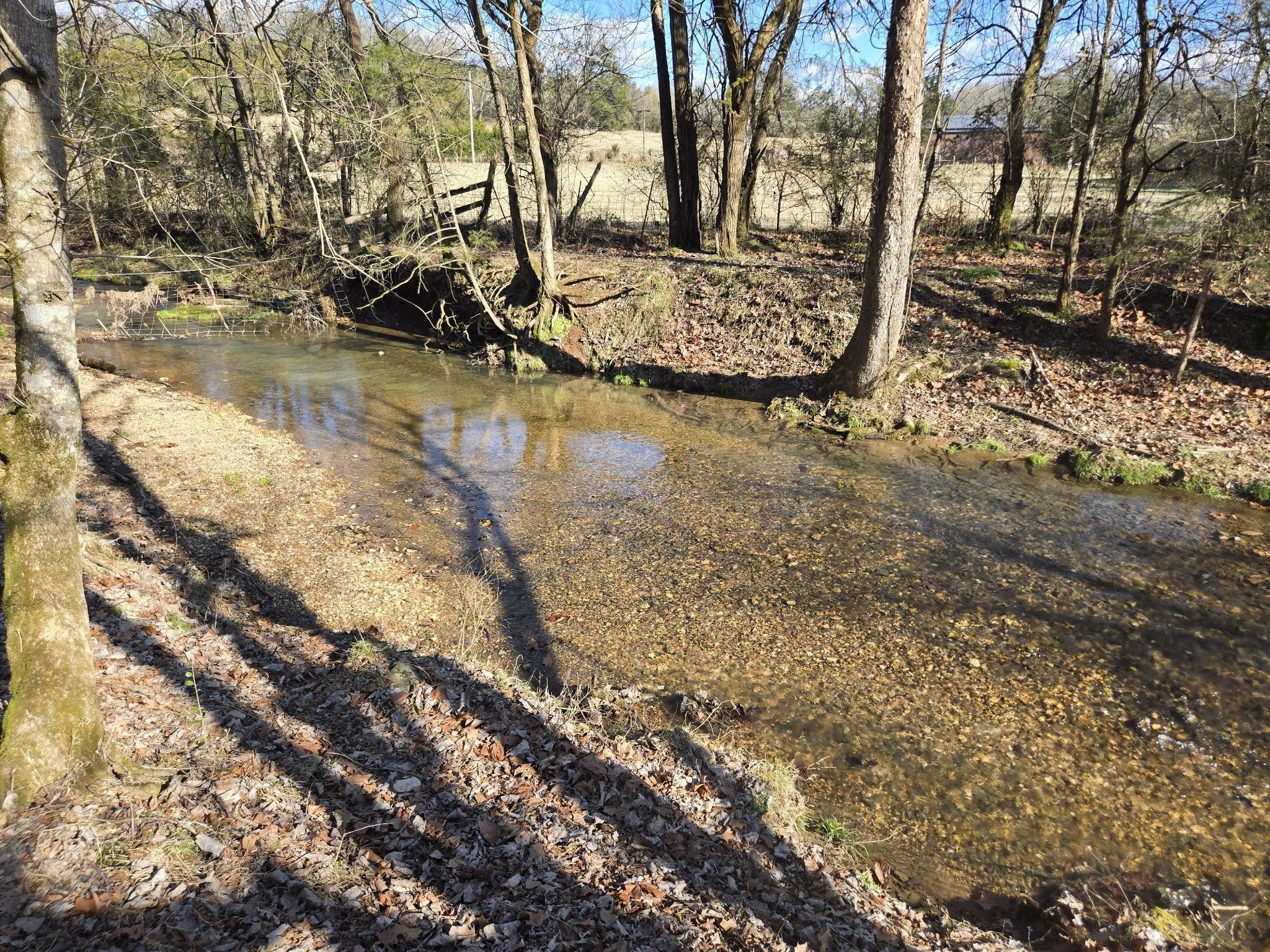 Photo of Listing #3080208