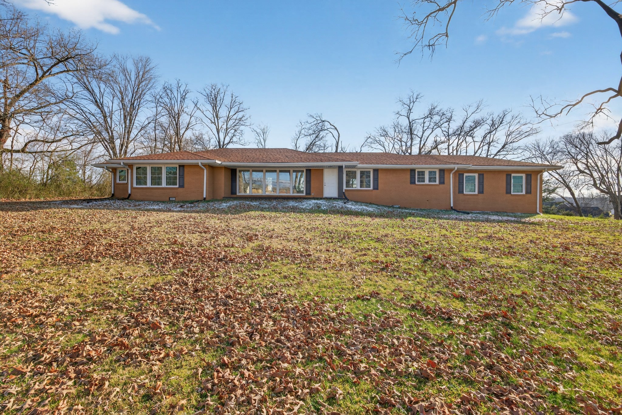 Photo of Listing #3098398