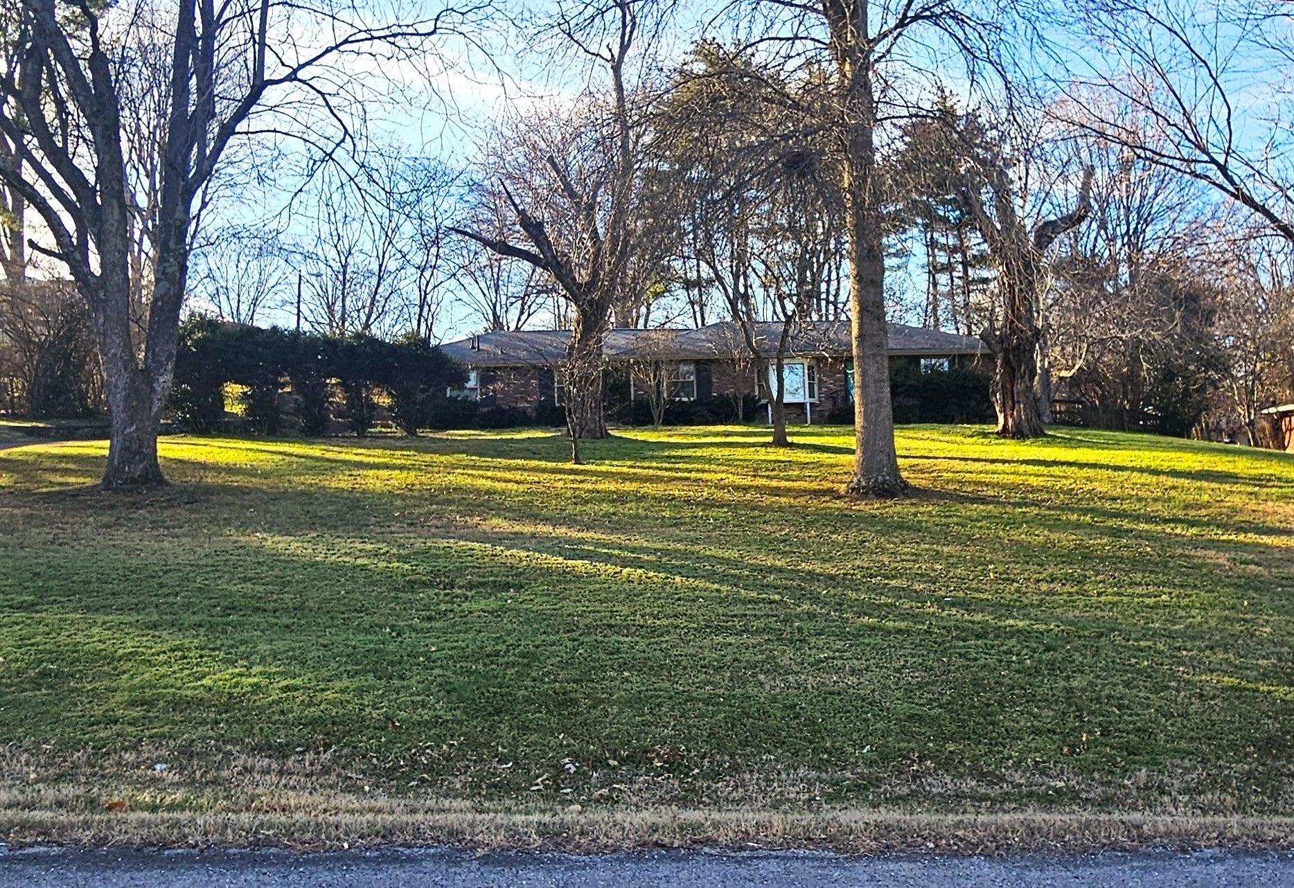 Photo of Listing #3112906