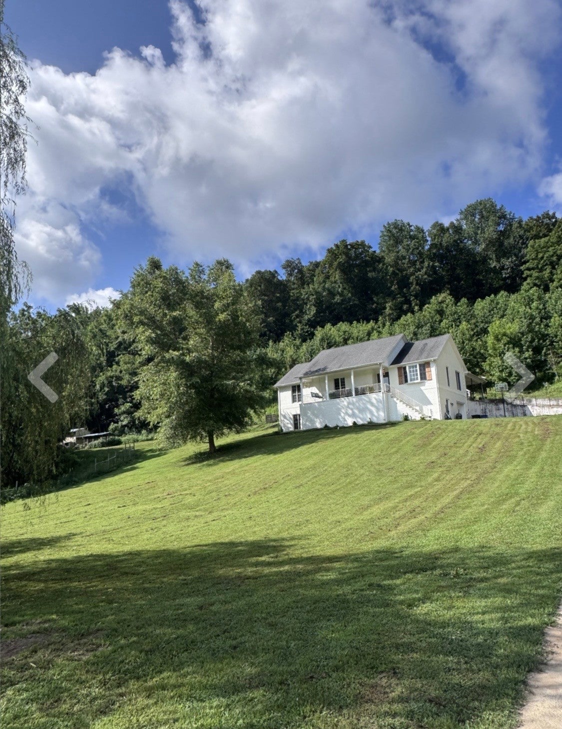 Photo of Listing #3113343