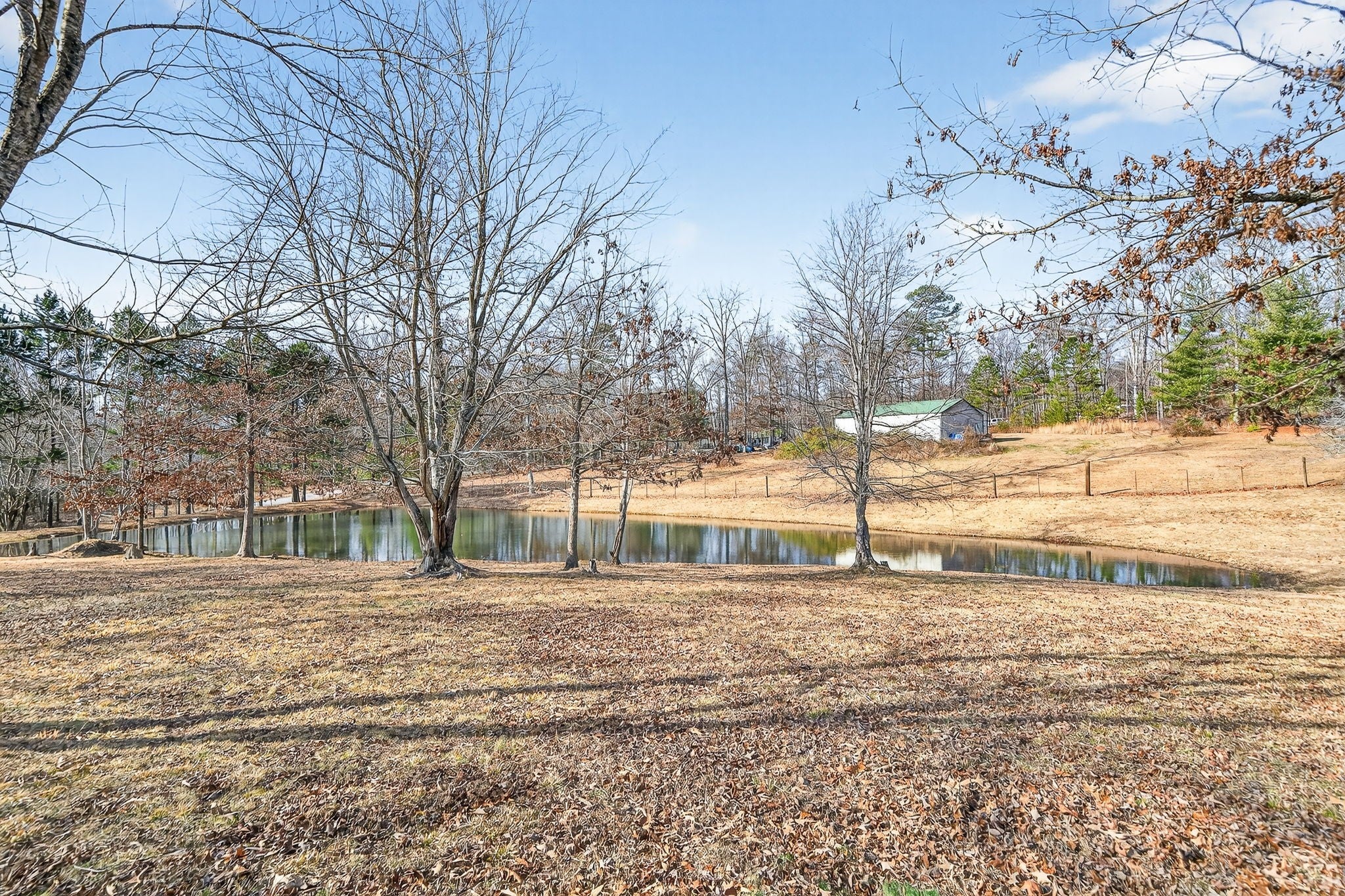 Photo of Listing #3116335