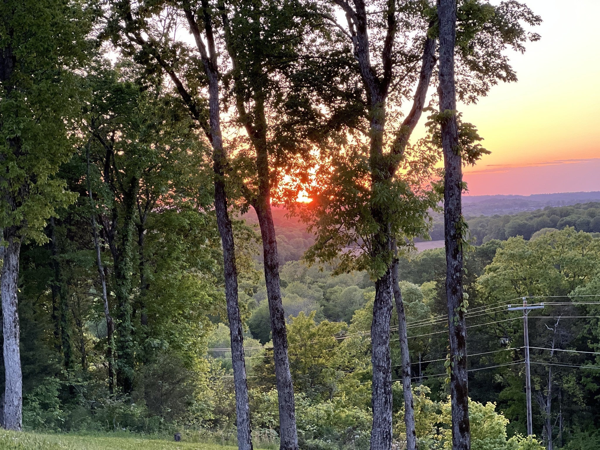 Photo of Listing #3118510