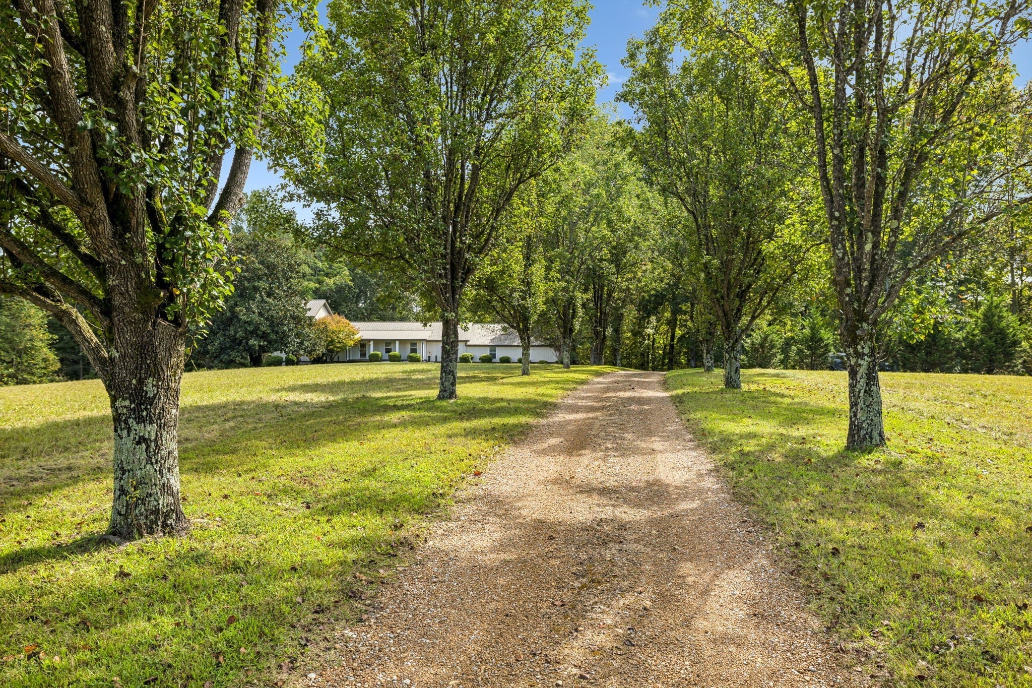 Photo of Listing #3122140