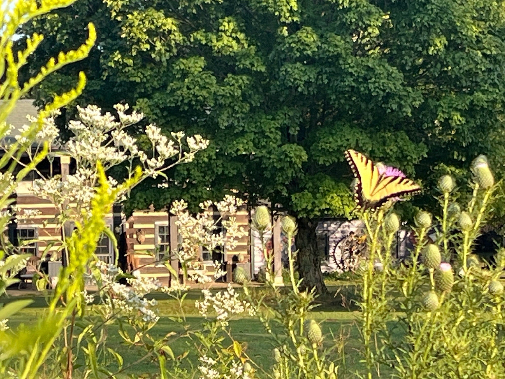 Photo of Listing #3122273