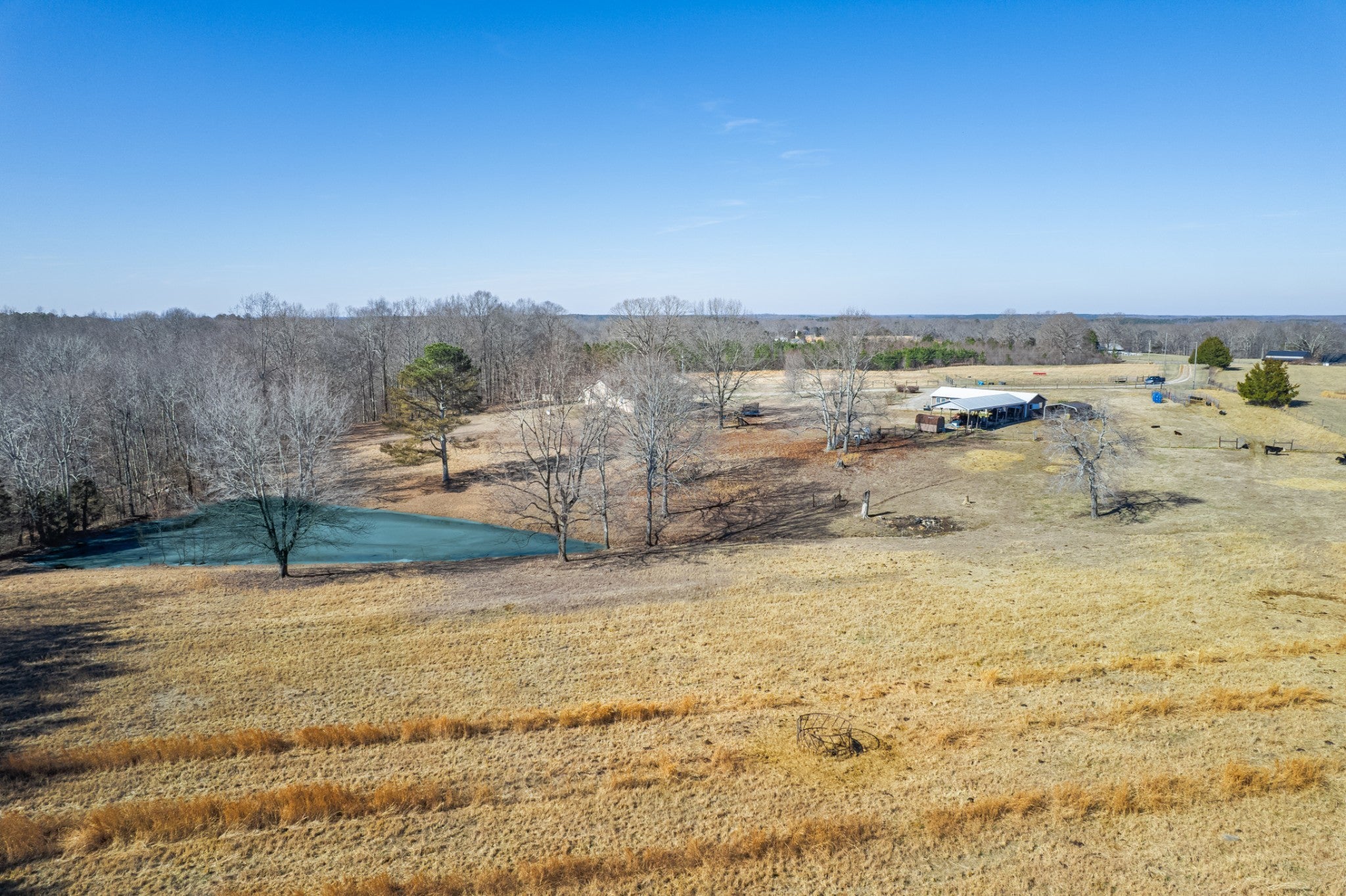 Photo of Listing #3122700