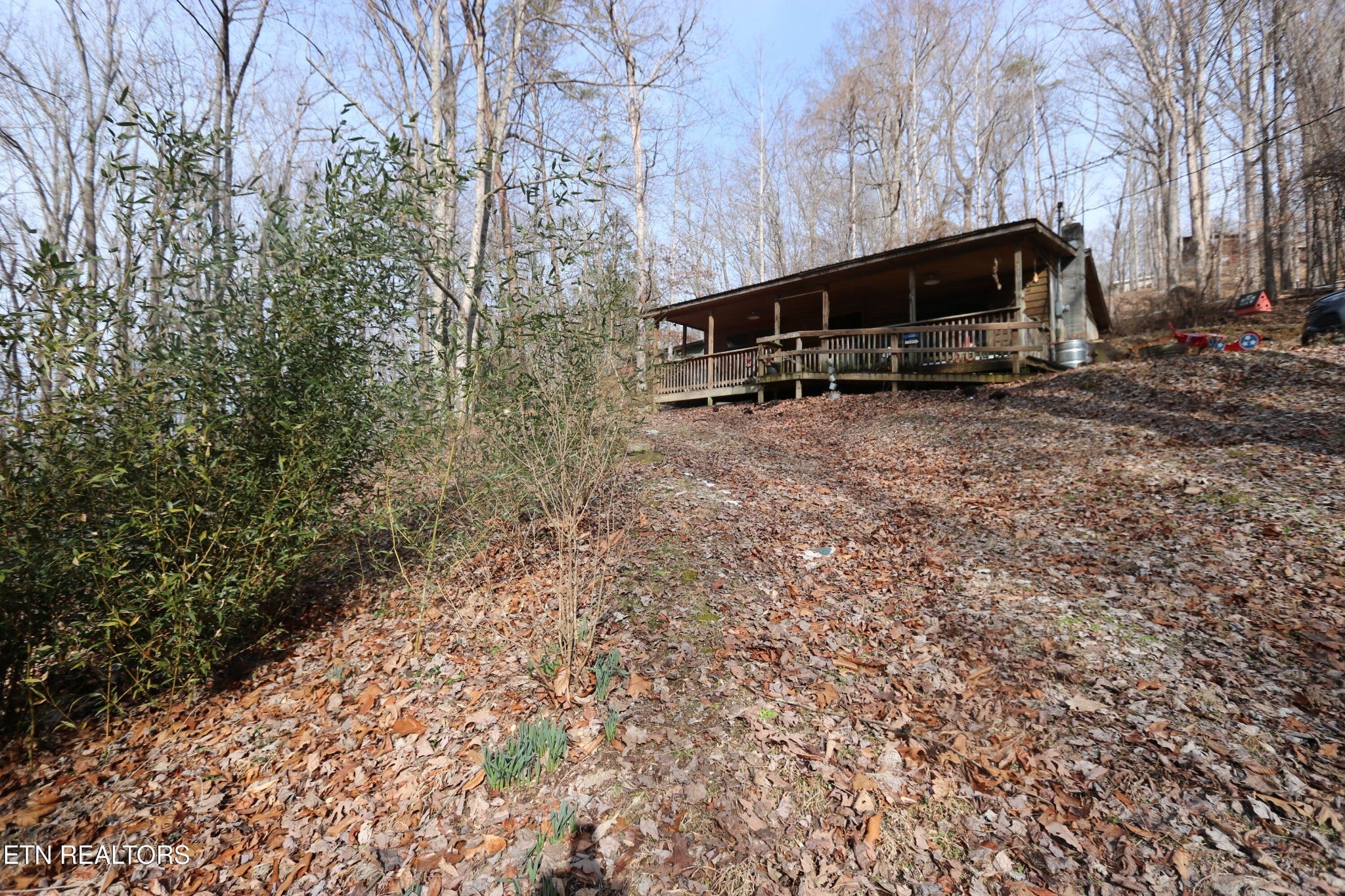 Photo of Listing #3122909