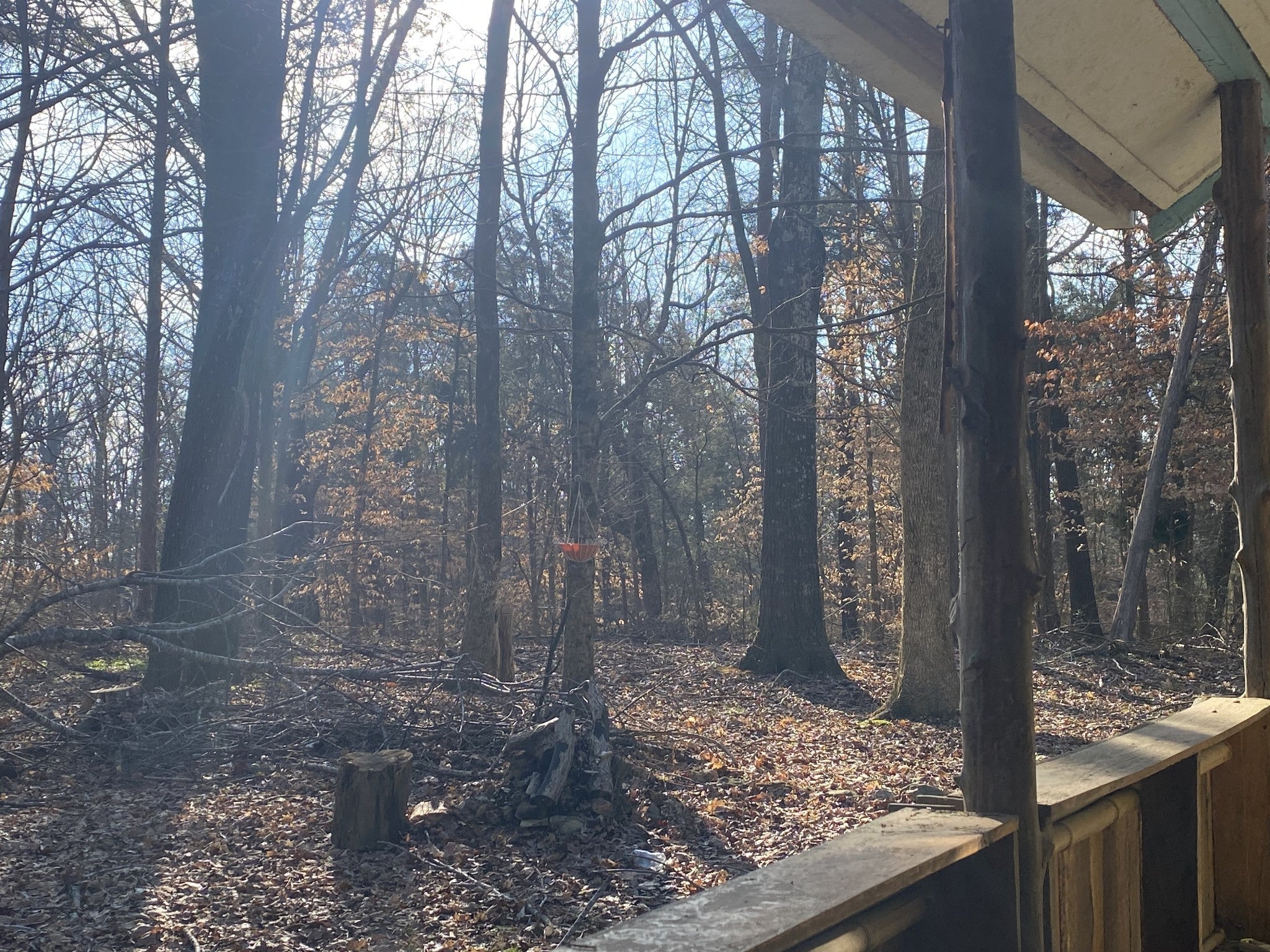 Photo of Listing #3122954