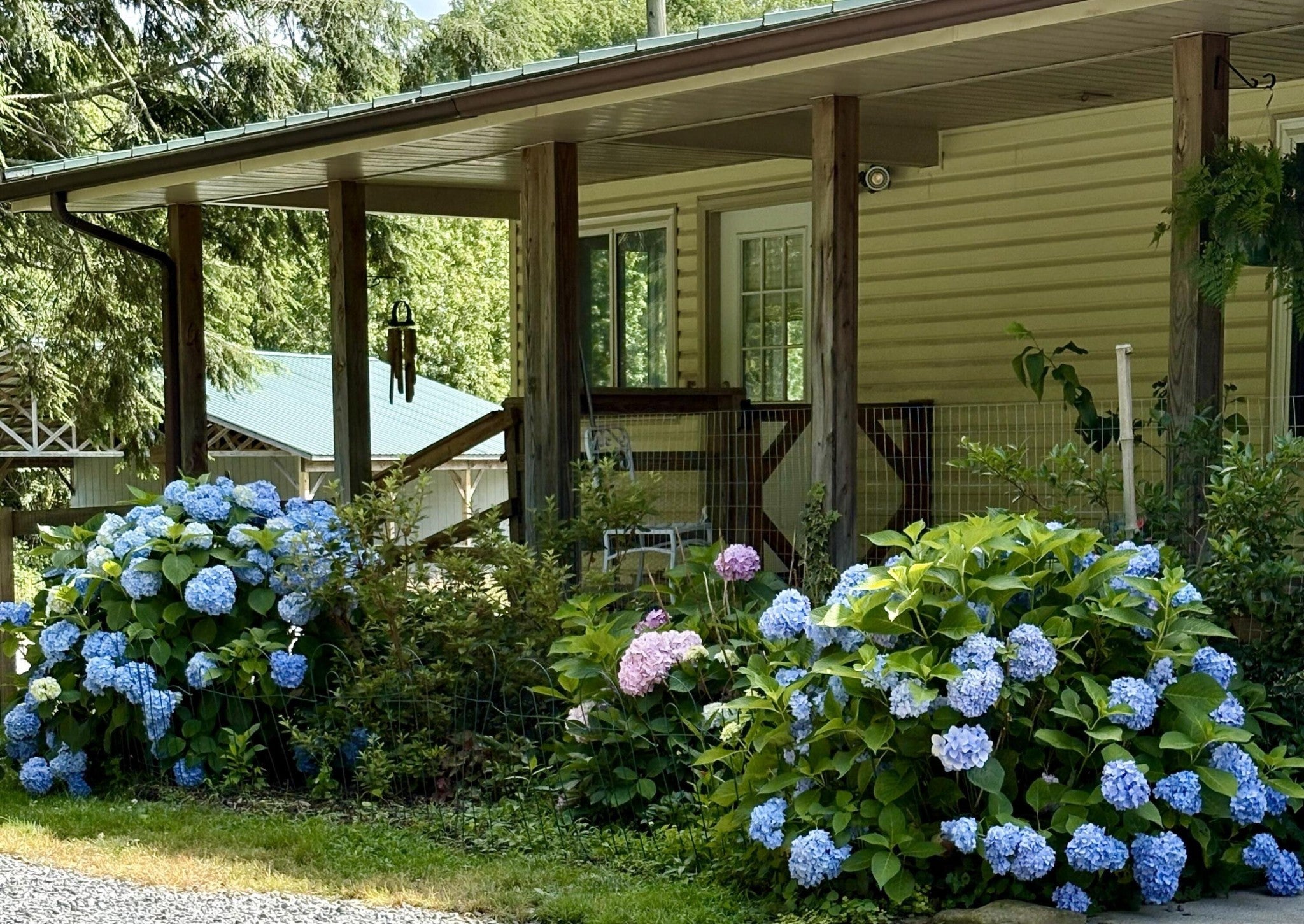 Photo of Listing #3123552