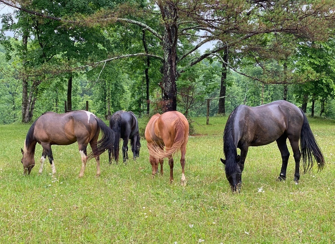 Photo of Listing #3128084