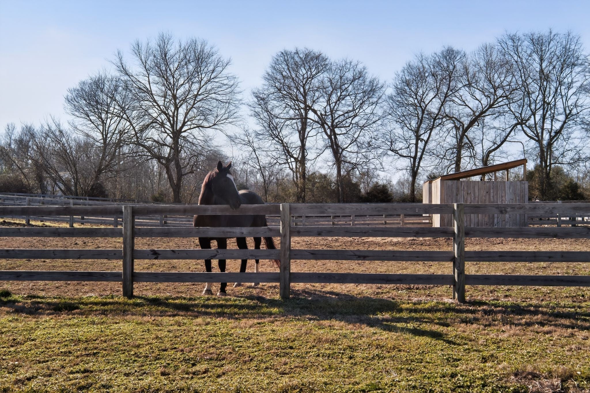 Photo of Listing #3128455