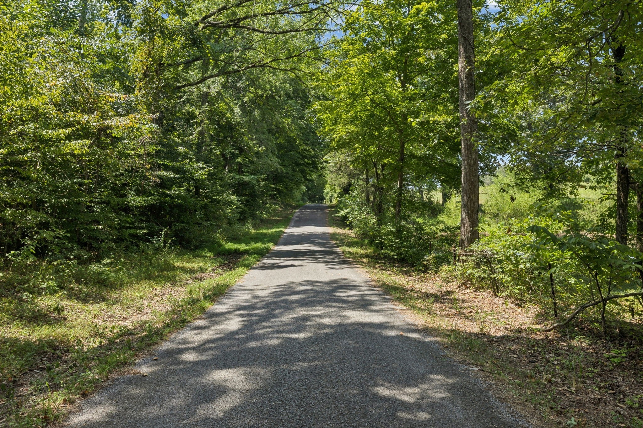 Photo of Listing #3129007