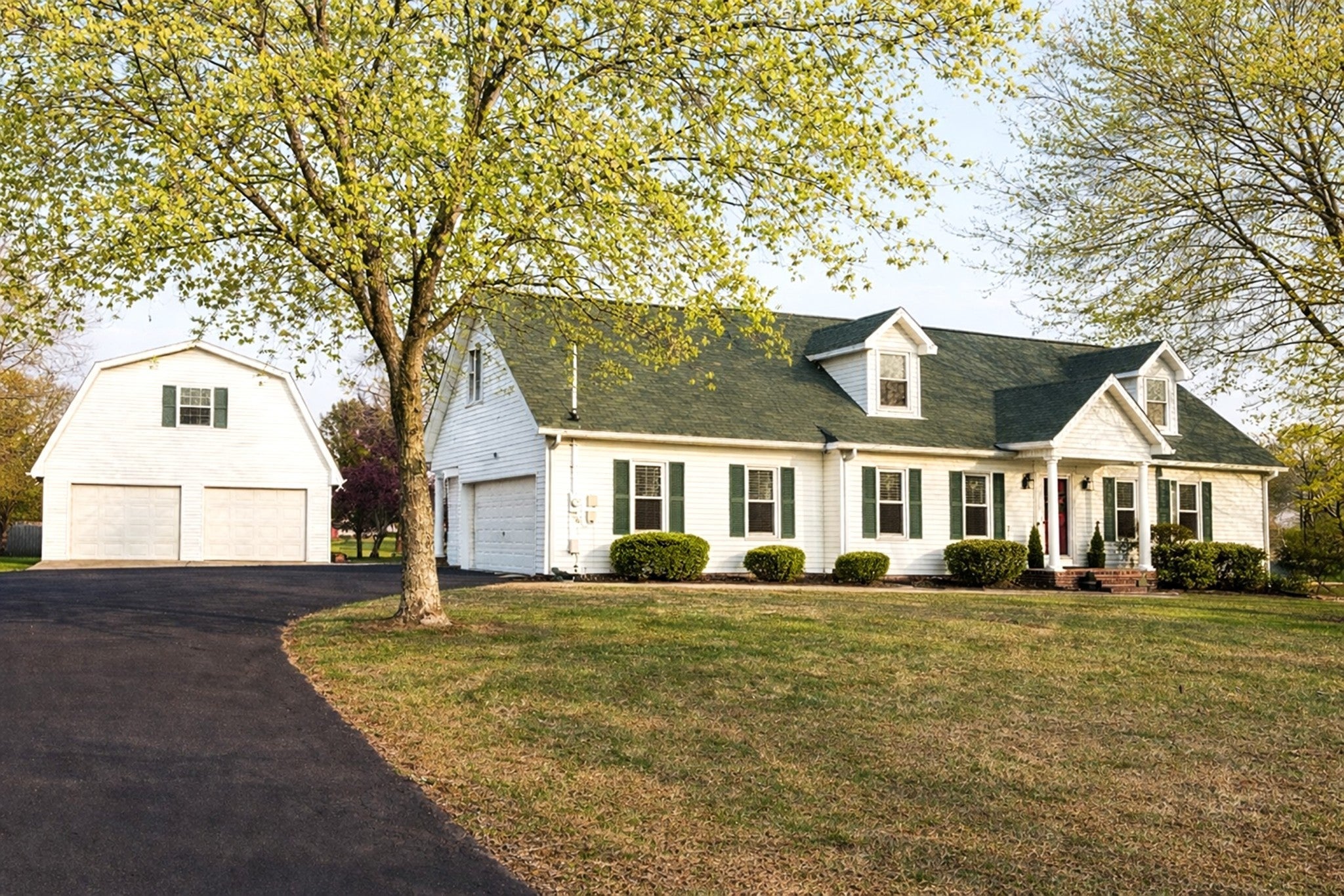 Photo of Listing #3130845